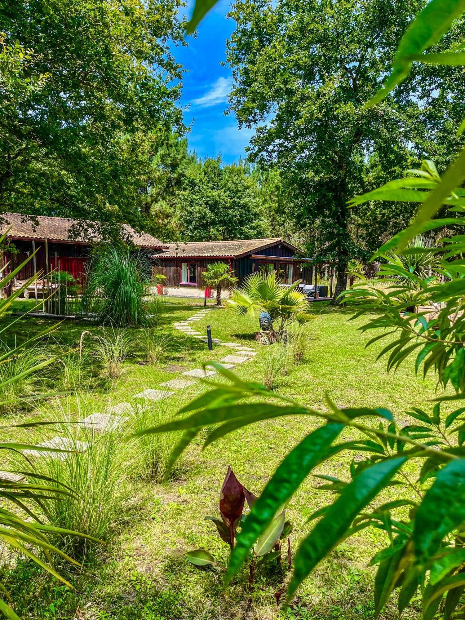 Hacienda De La Canopee Avec Piscine Chauffee Au Sel Hourtin Exterior photo